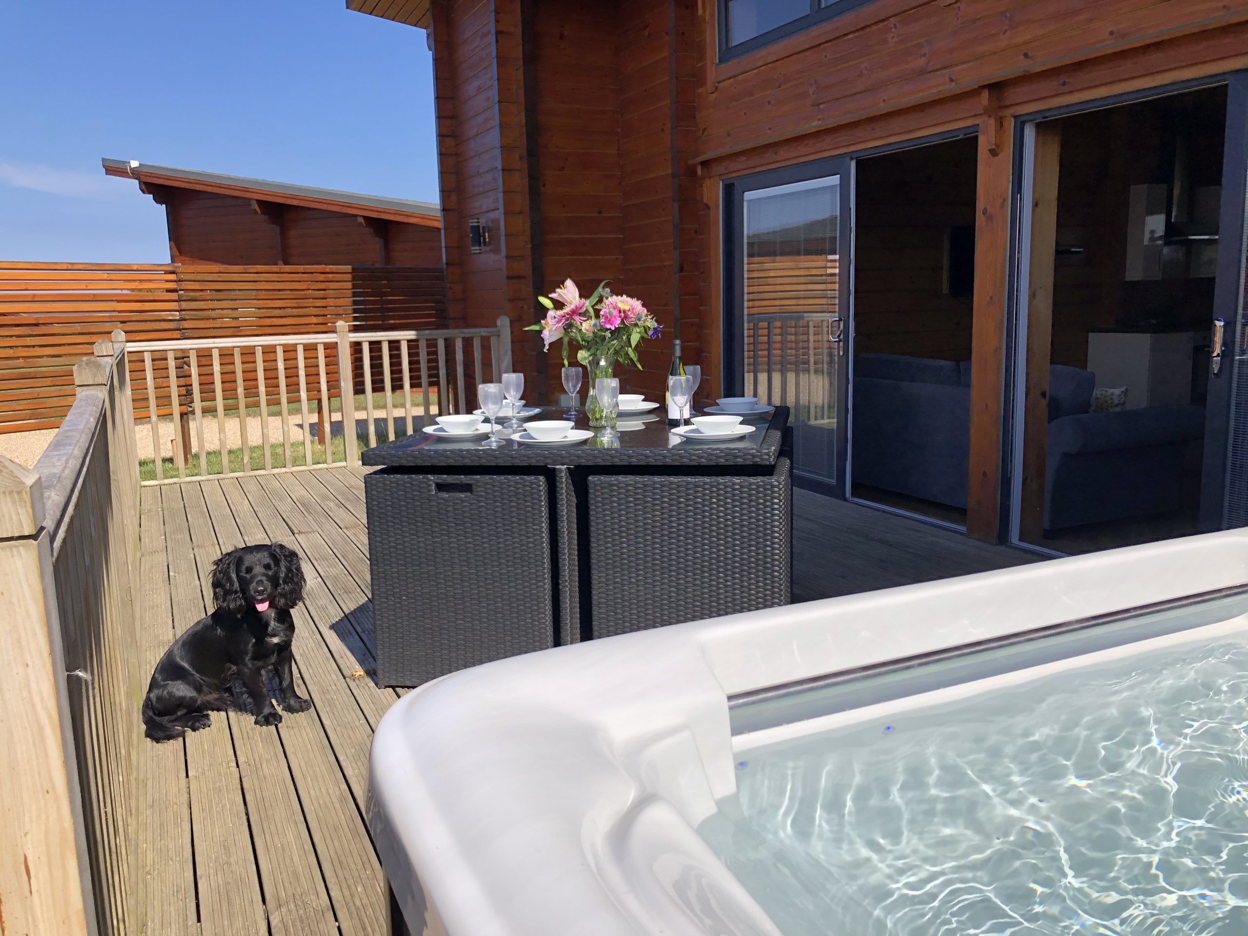 Saddleback pet hot tub wflash